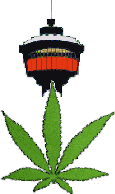 Calgary 420 Cannabis Community