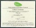 CCIC Accredited Certificate of Participation